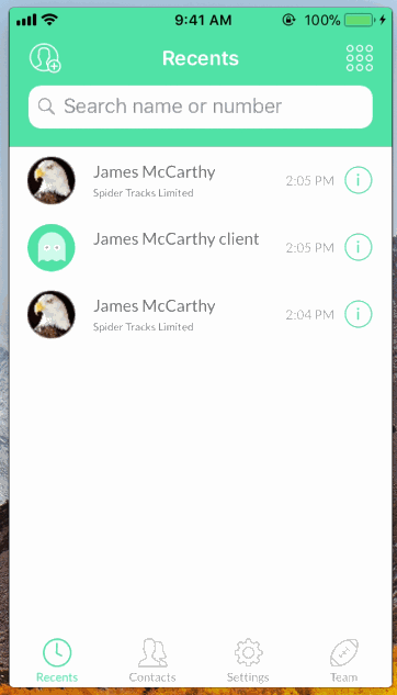 Team Call iOS